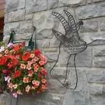 Hotel Edelweiss 2*