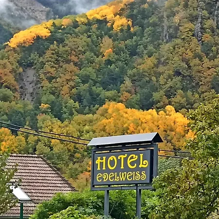 Edelweiss 酒店
