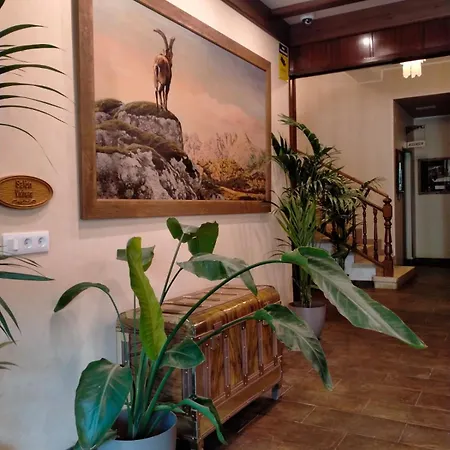 Edelweiss Otel