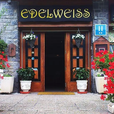 Edelweiss