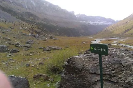 Edelweiss 2*