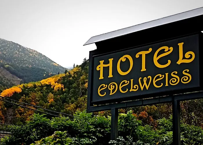 Edelweiss Otel