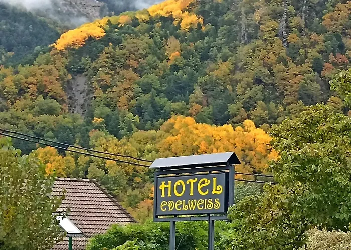 Edelweiss Hotel